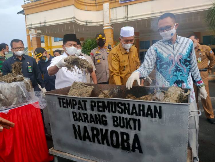 Muhammad Nur, Ikut Memusnahkan Ganja di Kantor Bupati